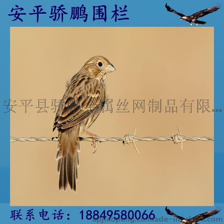 哪有便宜带刺钢丝网丨带刺铁丝网多少钱一米