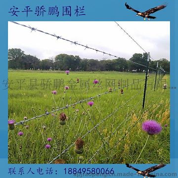 安平【骄鹏】刺绳带刺铁丝网火爆促销比较好