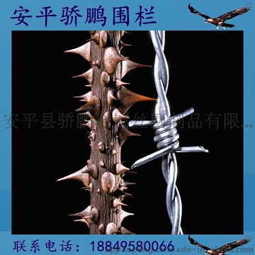 骄鹏围栏批发热镀冷镀锌刺绳厂家直销
