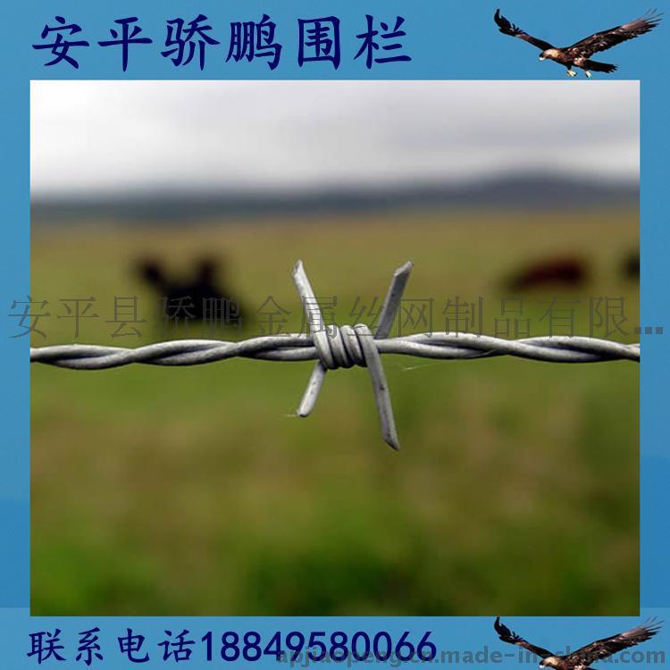 安平【骄鹏】带刺铁丝网库存处理