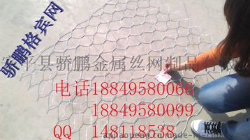 哪里有石笼网厂家